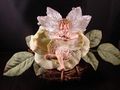 DSC03840.JPG