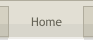 Go to the home page